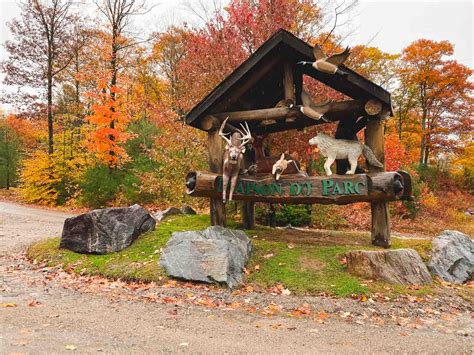 canada omega park|parc omega discount tickets.